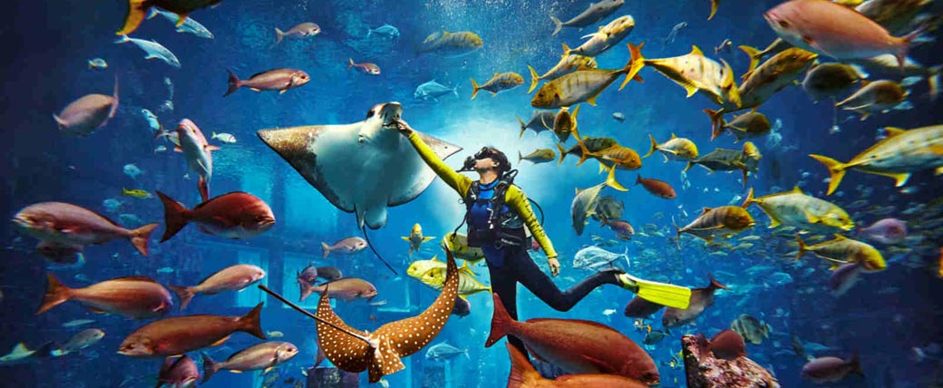 三亚亚特兰蒂斯酒店外观图